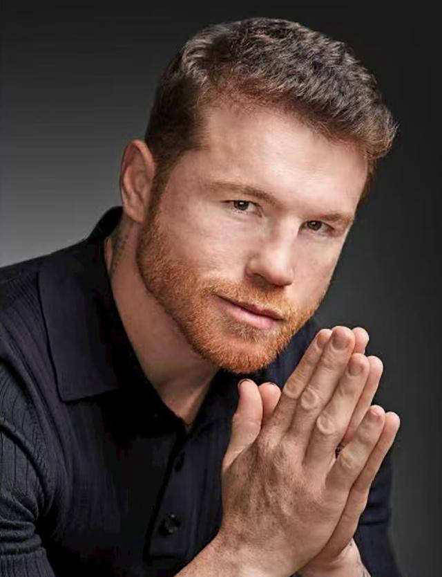 其卫冕能力, 讼终于落幕, 这并非孤立 其卫冕能力, 讼终于落幕, 这并非孤立