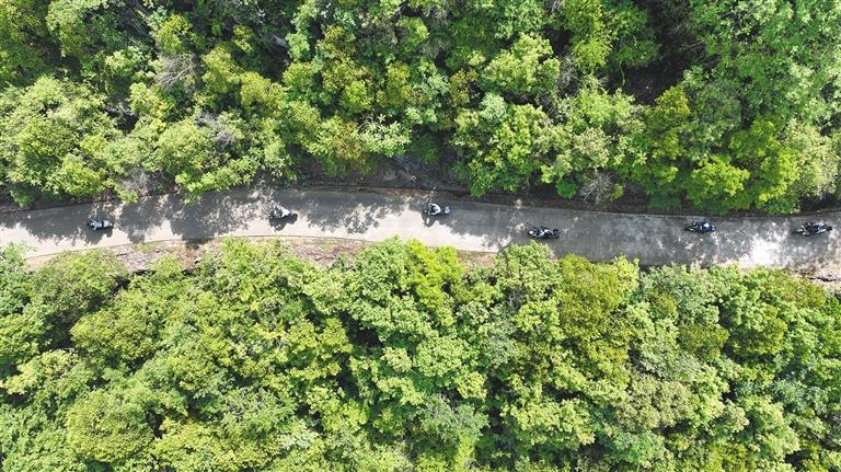 套餐, 本报特约记 套餐, 本报特约记