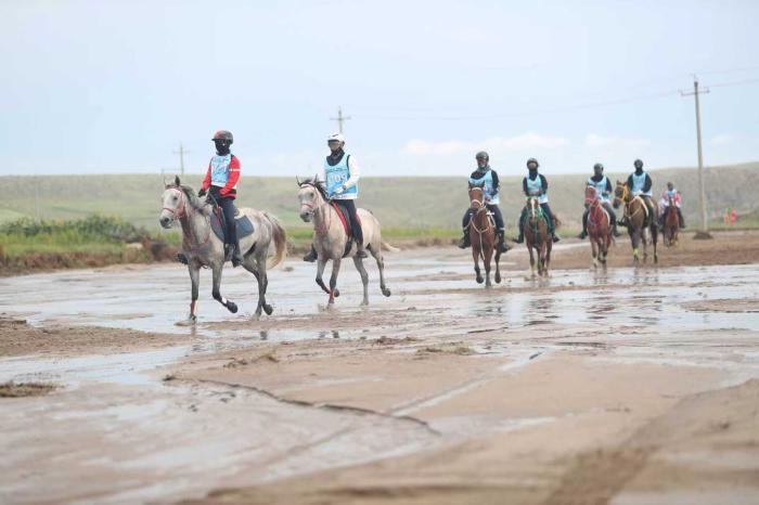 合同场竞技 合同场竞技